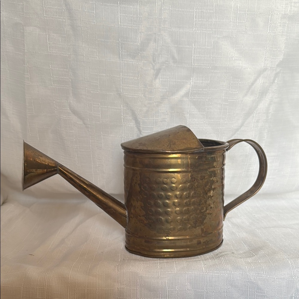 Antique-Style Brass Watering Can Decorative Planter